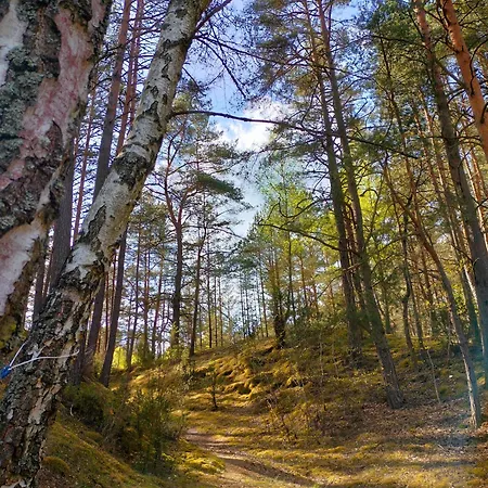 Stanica Wodna Pttk Camping *