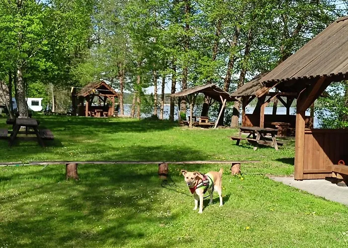 Кемпинг Stanica Wodna Pttk *