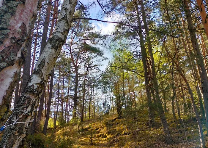 Stanica Wodna Pttk 캠프장 *