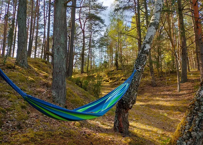 캠프장 Stanica Wodna Pttk 스보르네가치에